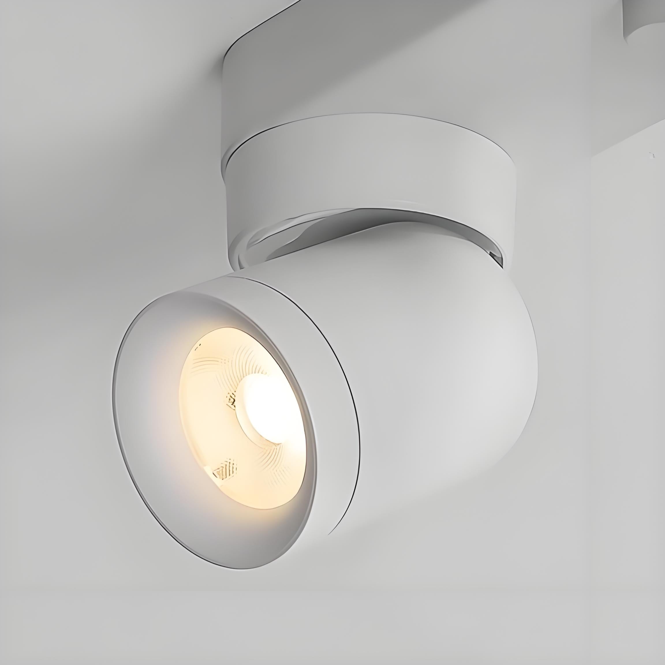 Modern Minimalist Versatile Ajustable Ceiling Spotlight for Living Room