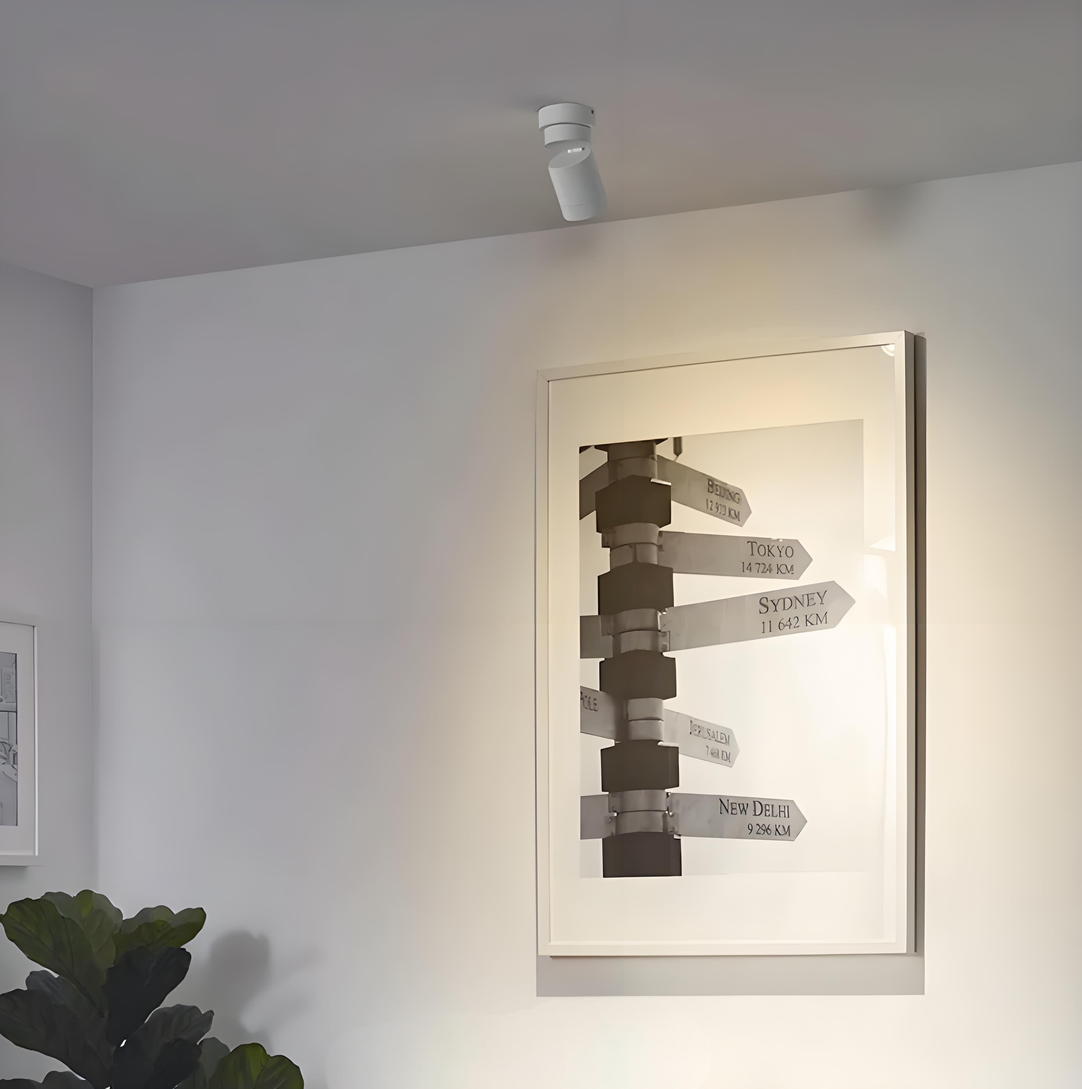 Modern Minimalist Versatile Ajustable Ceiling Spotlight for Living Room